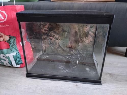 SuperFish Aqua Expert 30 zwart, Dieren en Toebehoren, Vissen | Aquaria en Toebehoren, Ophalen