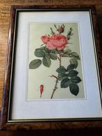 2 botanische prenten van Redouté, Ophalen of Verzenden