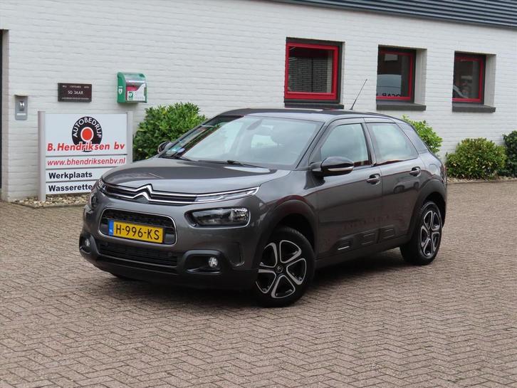 Citroen C4 Cactus 1.2 PureTech 110pk Business/ All season ba, Auto's, Citroën, Bedrijf, Te koop, C4 Cactus, ABS, Airbags, Airconditioning