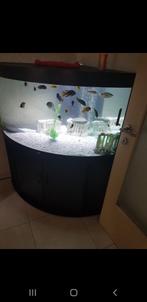Aquarium, Ophalen, Gebruikt, Leeg aquarium