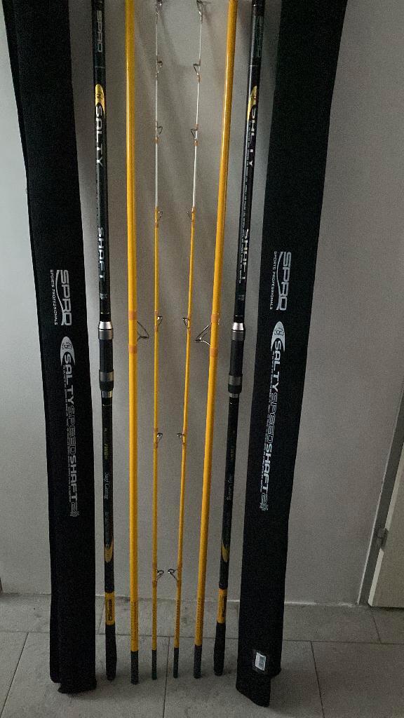 Strandhengels Spro Fast FWD Salty Speedshaft  Serie 2, Watersport en Boten, Hengelsport | Zeevissen, Zo goed als nieuw, Overige typen