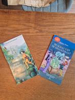 voorlees boeken Ronja de rovers dochter  en Geronimo stilton, Ophalen of Verzenden, Gebruikt