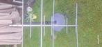 Richt antenne 2/70, Ophalen, Zo goed als nieuw, Antenne