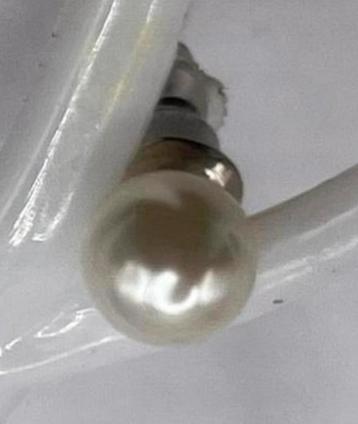 Zilverkleurige parelachtige oorknopjes NIEUW beschikbaar voor biedingen