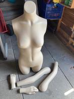 Paspop torso vrouw, Ophalen, Gebruikt, Paspop