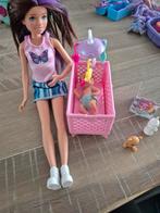 Barbie : skipper babysitter, Ophalen of Verzenden, Zo goed als nieuw, Barbie
