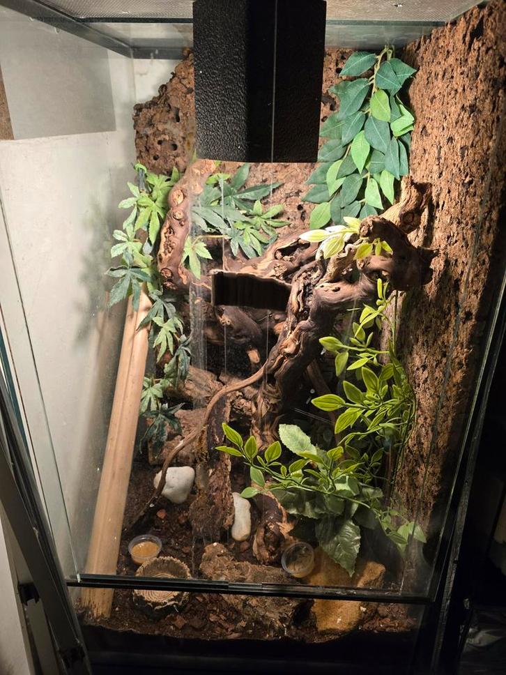 Tekoop glazen terrarium 71.5 hoog 46 diep 40 breed, Dieren en Toebehoren, Reptielen en Amfibieën | Toebehoren, Zo goed als nieuw