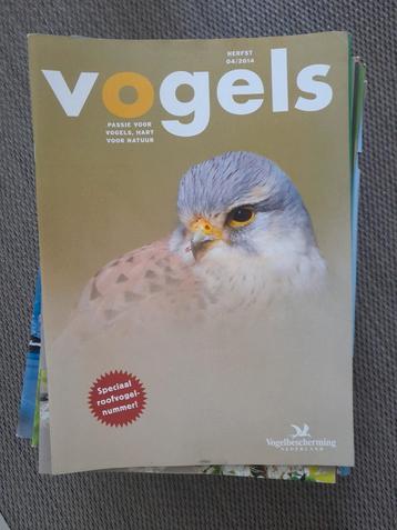 12,5 kg vogels (tijdschrift) beschikbaar voor biedingen