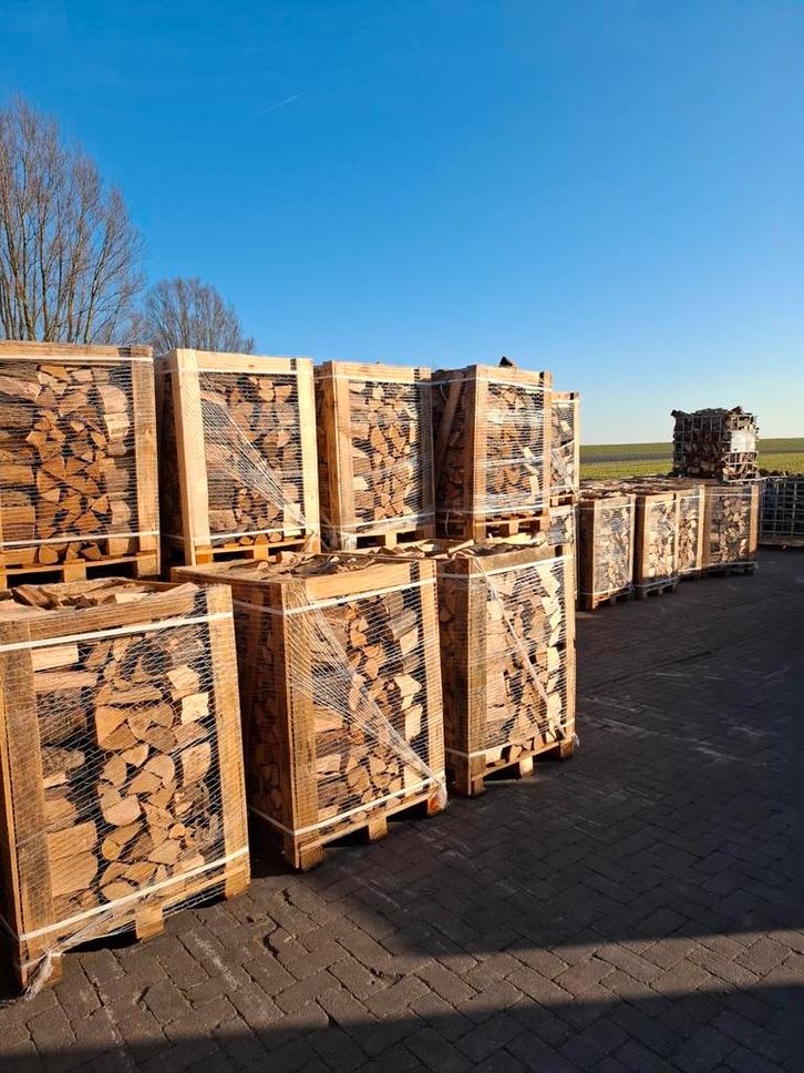 Beukenhout haardhout, droog, 25cm, Tuin en Terras, Haardhout, Blokken, Beukenhout, Minder dan 3 m³, Ophalen of Verzenden