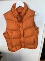 Getailleerde oranje bodywarmer, Kleding | Dames, Maat 38/40 (M), Oranje, Ophalen of Verzenden, Gedragen