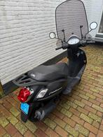 Nette Sym fiddle 2. 2020, Ophalen, Gebruikt, Overige typen