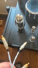 Interlink high end 50 cm ( silver)5 draadjes, Ophalen of Verzenden, Zo goed als nieuw, Minder dan 2 meter, Interlink-kabel