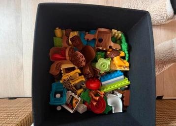 Lego duplo animals of the world + fruit beschikbaar voor biedingen