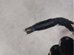 polyestertouw 14 mm 12 meter met oog, Info@alletouw.nl, Ophalen of Verzenden, Trekwei 13, Alletouw