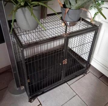 Honden bench op wielen beschikbaar voor biedingen