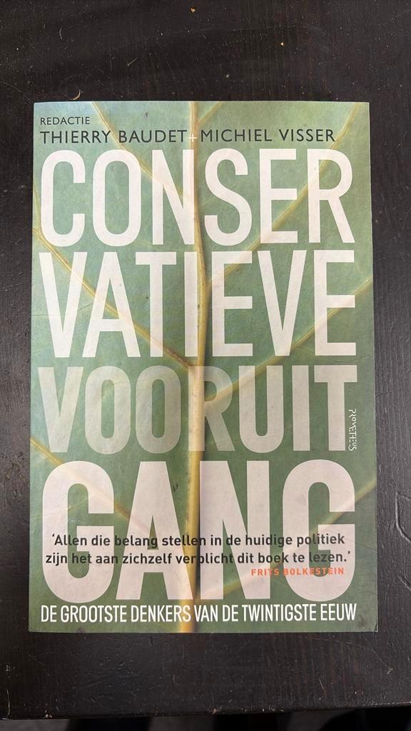 Conservatieve vooruitgang, Boeken, Politiek en Maatschappij, Zo goed als nieuw, Ophalen of Verzenden