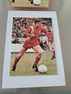 Voetbalsterren puzzel Theo Pahlplatz FC Twente, Ophalen of Verzenden, Zo goed als nieuw, F.C. Twente, Overige typen