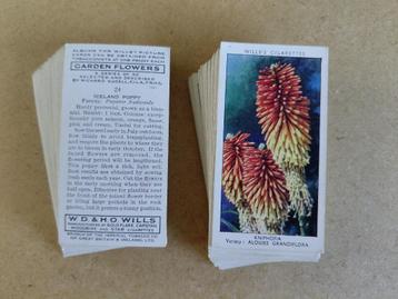 Garden Flowers complete set 50 cigarette cards bloemen 1939  beschikbaar voor biedingen