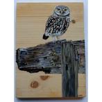 Schilderij steenuil op hek op hout voor huis of tuin, Ophalen of Verzenden, Nieuw