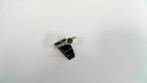 13802-12 Leuk Gedraaid Zilveren Ring met Groene steen, Ophalen of Verzenden, Zo goed als nieuw, 17 tot 18, Met edelsteen