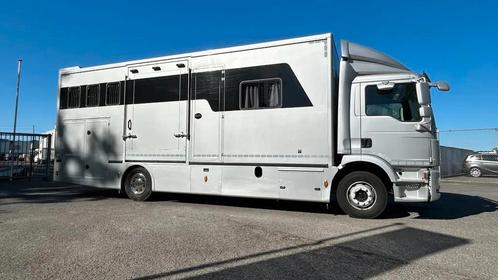 MAN TGM 15.250 5 horses and living brand Krismar (bj 2019), Auto's, Vrachtwagens, Bedrijf, MAN, Diesel, Euro 6, Automaat, Geïmporteerd