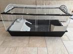 Ferplast Konijnenkooi 120, Dieren en Toebehoren, Knaagdieren en Konijnen | Hokken en Kooien, Cavia, Hok, Ophalen, Minder dan 60 cm