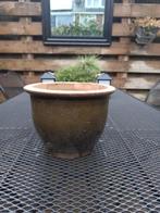 Groen buiten bloempotje., Tuin en Terras, Bloempotten, Gebruikt, Rond, Ophalen of Verzenden, Aardewerk