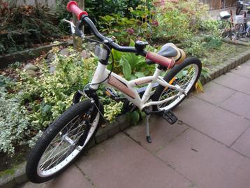 nette 20 inch 2cycle bmx jongensfiets beschikbaar voor biedingen