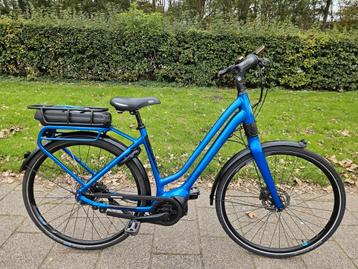Elektrische fiets gaint beschikbaar voor biedingen