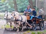 Schitterende wagonnette, Dieren en Toebehoren, Rijtuigen en Koetsen, Zo goed als nieuw, Marathonwagen