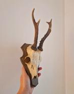 Ree Gewei uit Duitsland, Ophalen