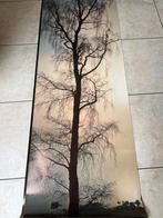 Verkerke deurposter, Ophalen of Verzenden, Film en Tv