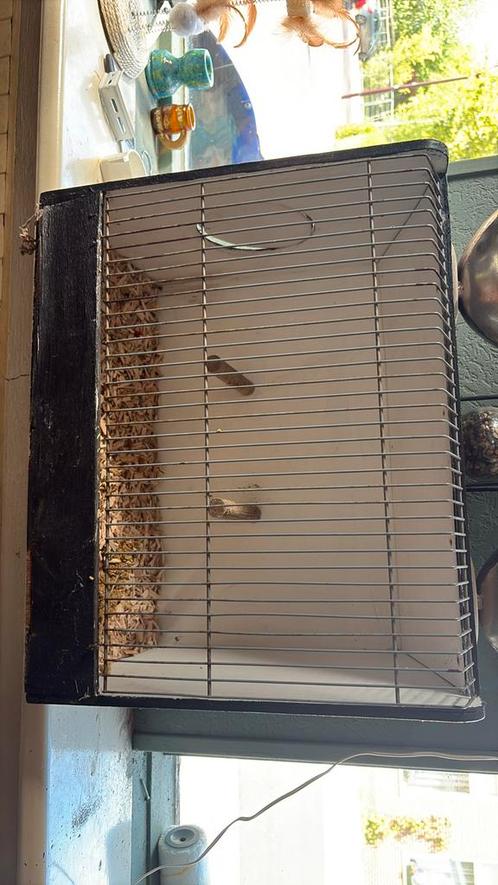 Vogelkooi tekoop/te ruil L 49,5 b 26 h 40, Dieren en Toebehoren, Vogels | Hokken en Kooien, Gebruikt, Vogelkooi, Hout, Ophalen of Verzenden