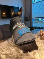 Hondenjasje voor chihuahua / kleine hond / pup, Verzenden, Zo goed als nieuw, Hondenbodywarmer