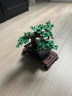 Lego Bonsaiboompje Botanicals 10281, Kinderen en Baby's, Speelgoed | Duplo en Lego, Ophalen, Gebruikt