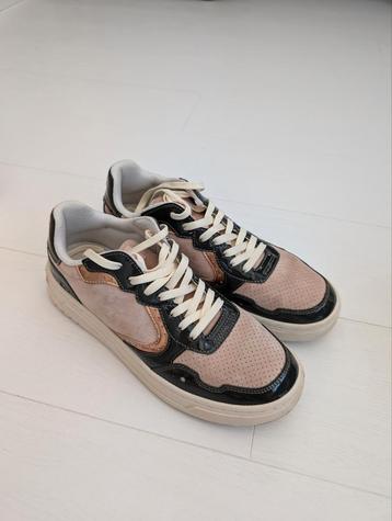 Scotch & Soda sneakers maat 39 beschikbaar voor biedingen