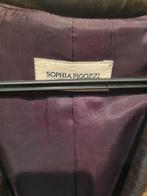 Vintage Sophia Pigozzi Italian Blazer

Mt 42, Maat 42/44 (L), Ophalen of Verzenden, Zo goed als nieuw, X