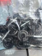 Weide oogjes, Dieren en Toebehoren, Stalling en Weidegang, Weidegang