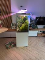 Top aquarium 1,2m lang , 70 cm hoog, Ophalen, Gebruikt, Gevuld zoetwateraquarium