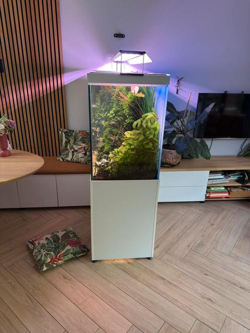 Top aquarium 1,2m lang , 70 cm hoog, Dieren en Toebehoren, Vissen | Aquaria en Toebehoren, Gebruikt, Gevuld zoetwateraquarium