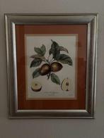 Decoratieve schilderijen (2 stuks), Ophalen, Minder dan 50 cm, 50 tot 75 cm, Zo goed als nieuw