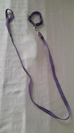 Honden puppy riem paars, Dieren en Toebehoren, Honden-accessoires, Ophalen of Verzenden
