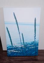 Canvas Schilderij: Stenen, water en gras, Ophalen