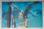 D3 Kaart Meeuw ongelopen Ansichtkaart ( A6 ), Ophalen of Verzenden, 1980 tot heden, Gelopen
