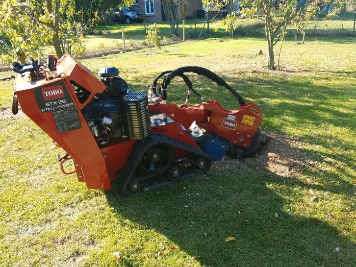 Stormschade, Boomstronk/Haag verwijderen, opschonen tuin, Diensten en Vakmensen, Tuinmannen en Stratenmakers