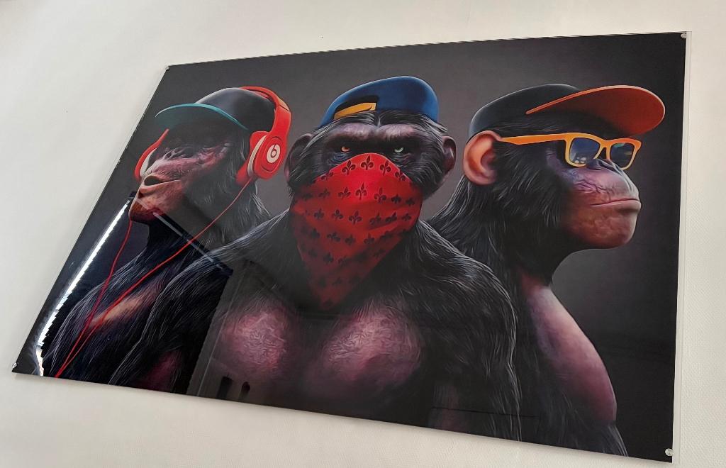 Schilderij plexiglas 3 apen, Huis en Inrichting, Woonaccessoires | Schilderijen, Tekeningen en Foto's, Ophalen, Zo goed als nieuw