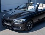 BMW 2-serie Cabrio 218i Executive I Leer I Aut I PDC I Harma, Auto's, BMW, Automaat, Gebruikt, 1520 kg, Cabriolet