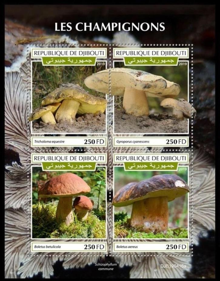 2019 Djibouti Flora Planten Paddestoelen, Postzegels en Munten, Postzegels | Thematische zegels, Postfris, Dier of Natuur, Ophalen of Verzenden