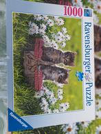 Ravensburger Puzzel 1000st - Poezen Picknick, Hobby en Vrije tijd, Denksport en Puzzels, Ophalen of Verzenden, 500 t/m 1500 stukjes