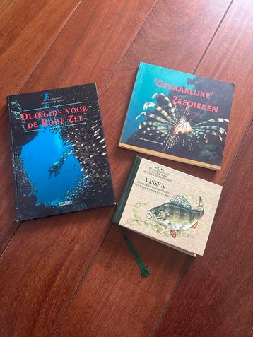 Duikboeken - Rode Zee, Zeedieren, Vissen beschikbaar voor biedingen